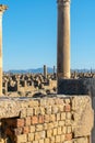 Vertical shot of the pillars and walls of the famous Roman ruins in Timgad, Algeria