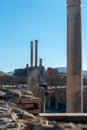 Vertical shot of the pillars and walls of the famous Roman ruins in Timgad, Algeria