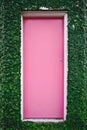 Vertical shot of a pink door on a green ivy vine wall Royalty Free Stock Photo