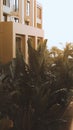 Vertical shot of plants outside a large building complex, artsy aesthetic