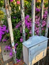 Vertical shot of a post box on a rustic metallic fence against purple flowers in Dubrovnik, Croatia Royalty Free Stock Photo