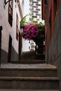 Vertical shot of a pot with pink paperflowers on the top of the stairs between the buildings