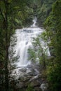 Vertical shot of raging waterfalls surrounded by trees