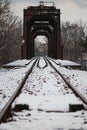 Vertical shot of a railroad covered in snow, surrounded by bare tree branches in the daylight
