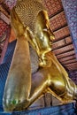 Vertical shot of a reclining Buddha in Wat Pho Temple, Bangkok, Thailand Royalty Free Stock Photo