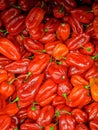 Vertical shot of red fresh peppers piled together Royalty Free Stock Photo