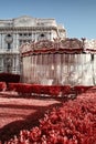 Vertical shot of red hedges with a carousel in the background. Rome, Italy. Royalty Free Stock Photo