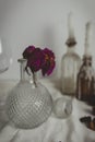 Vertical shot of red roses in the vase on the table surrounded by bottles  and candles Royalty Free Stock Photo