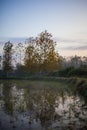 Vertical shot of the reflection of autumnal trees on a lake in a forest Royalty Free Stock Photo