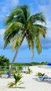 Vertical shot of the Rendez-vous Beach in Anguilla under a blue sky