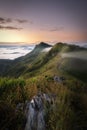 Vertical shot of rice fields, mountains, and Kyoto bamboo forest in Thailand