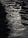 Vertical shot of ripples moving through the surface of the water