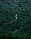 Vertical shot of a river flowing through a mountain range covered with dense green forest Royalty Free Stock Photo