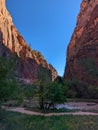 Vertical shot of river and greenery in canyon of rocky mountains in Zion National Park, Utah Royalty Free Stock Photo