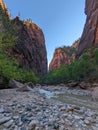 Vertical shot of river and greenery in canyon of rocky mountains in Zion National Park, Utah Royalty Free Stock Photo