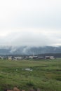 Vertical shot of a river in a spacy field with a small town and forests in the background during fog