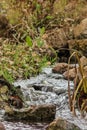 Vertical shot of river stream in nature