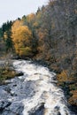 Vertical shot of a river in Toten, Norway, in fall.