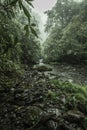 Vertical shot of a riverbed with rain in the middle of the green vegetation of the tropical jungle of Costa Rica