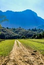 Vertical shot of the road extending towards the mountain in Laos, Asia