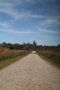 Vertical shot of a road leading to the forest under the pure blue sky