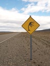 Vertical shot of a road sign warning of strong wind, next to the road in a desert during daylight