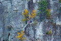 Vertical shot of a rock climber on the Seneca Rocks, West Virginia