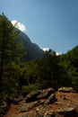 Vertical shot of rocky land with fir trees and shadowed mountains in background in park in Greece