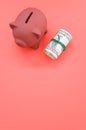 Vertical shot of a roll of dollar bills and a piggy bank on a red surface Royalty Free Stock Photo