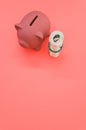 Vertical shot of a roll of dollar bills and a piggy bank on a red surface Royalty Free Stock Photo