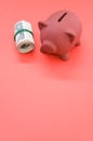 Vertical shot of a roll of dollar bills and a piggy bank on a red surface Royalty Free Stock Photo