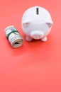 Vertical shot of a roll of dollar bills and a piggy bank on a red surface Royalty Free Stock Photo