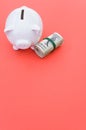 Vertical shot of a roll of dollar bills and a piggy bank on a red surface Royalty Free Stock Photo