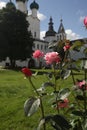 Vertical shot of roses in the Kremlin courtyard, Rostov, Russia