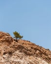 Vertical shot of a rough rock formation with a single tree against the blue sky