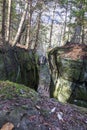 Vertical shot of rough rugged rock formations in a forest with fallen dry leaves on a ground