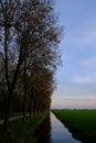 Vertical shot of a row of trees and green field separated by a Duitch canal Royalty Free Stock Photo