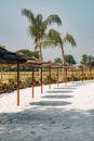 Vertical shot of rows of thatch umbrellas on the white sand in the park. Royalty Free Stock Photo
