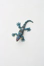 Vertical shot of rubber lizard toy isolated on white background Royalty Free Stock Photo