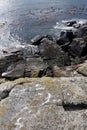 Vertical shot of rugged shoreline of East Sooke Park with lichen covered rocks and ocean swell swirling in background Royalty Free Stock Photo