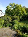 Vertical shot of a rural house surrounded by lush sunner vegetation in the backyard