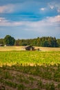 Vertical shot of rural landscape with arable land and a wooden house forest in the background Royalty Free Stock Photo