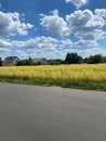 Vertical shot of a rural yellow field on the side of a road under a cloudy bright sky Royalty Free Stock Photo