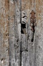 Vertical shot of a rusted handmade knocker on an old wooden door Royalty Free Stock Photo