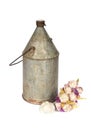 Vertical shot of a rusty retro milk can and garlic isolated on a white background Royalty Free Stock Photo