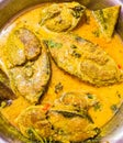 Vertical shot of a savory Bengali Hilsa fish curry dish in a pot Royalty Free Stock Photo