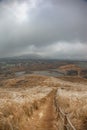 Vertical shot of a scenic landscape with wheat fields on a gloomy rainy day Royalty Free Stock Photo