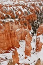 Vertical shot of the scenic stone formations covered in snow in Bryce Canyon, Utah Royalty Free Stock Photo