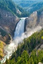 Vertical shot of scenic waterfalls in the Yellowstone National Park Royalty Free Stock Photo