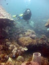 Vertical shot of a scuba diver wearing diving suit and equipment swimming near coral reefs